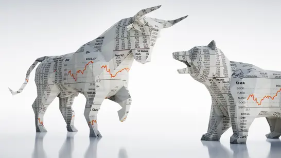 Bulle Bär 1920X1080px Bulle Bär 1920X1080px