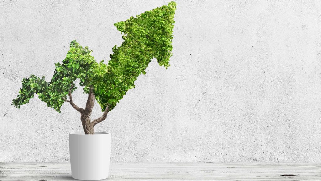 Adobestock 193971226 1 1024X576