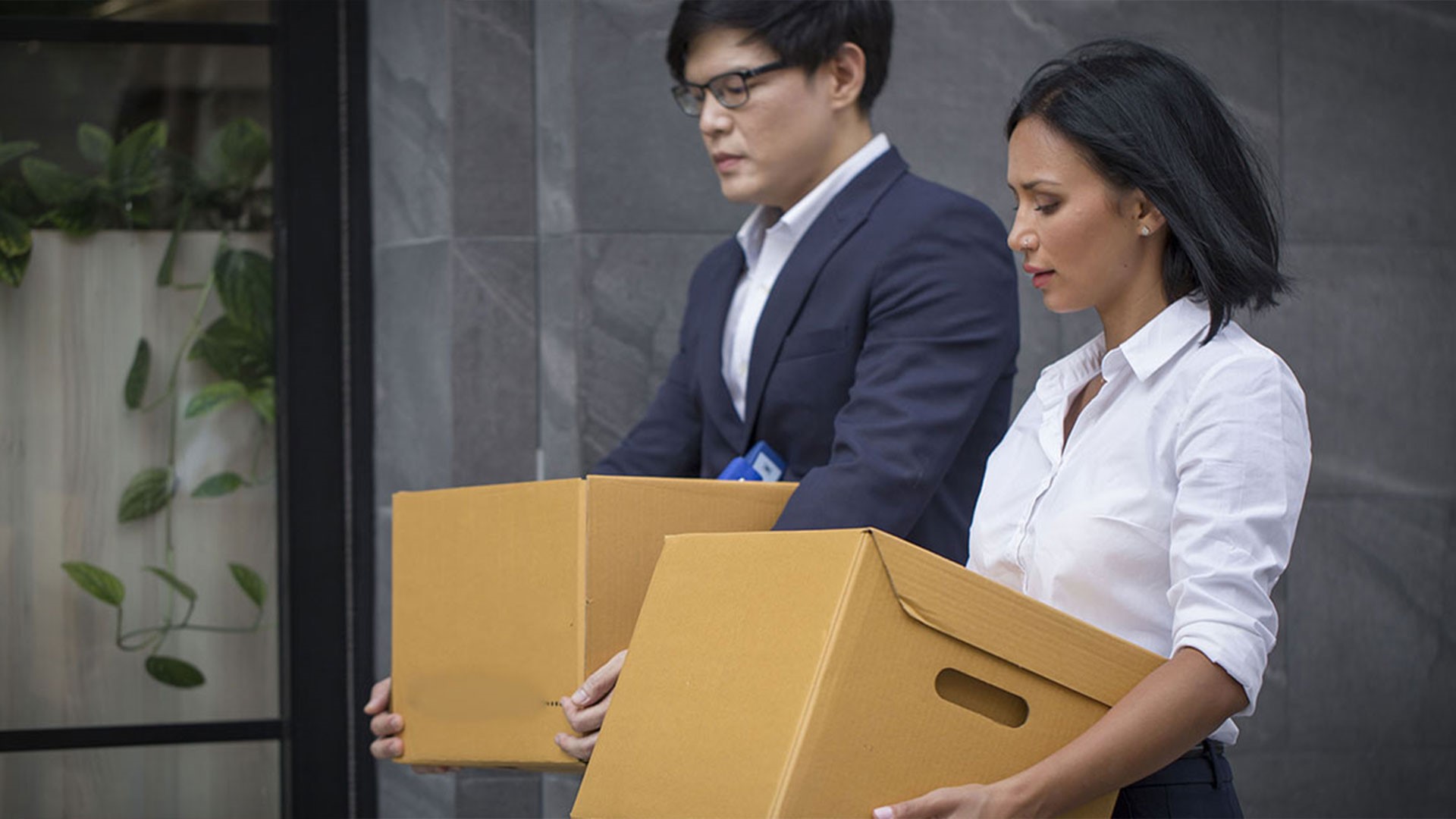 Wie 2007 08 1920X1080px