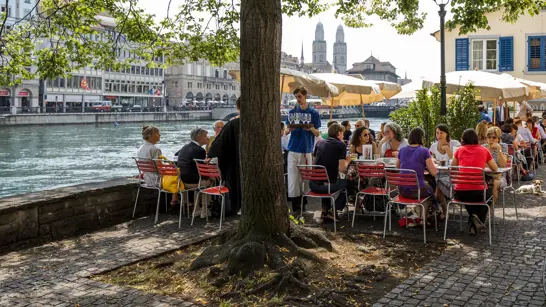 Gartenrestaurant Grossmünster Zürich Gartenrestaurant Grossmünster Zürich