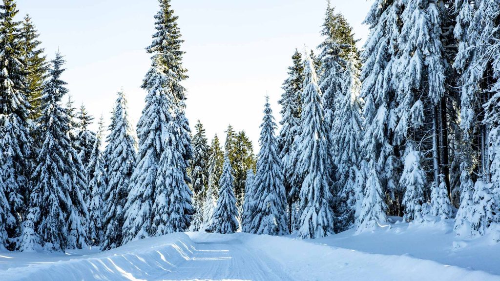 Nachhaltigkeit 1920X1080 1024X576