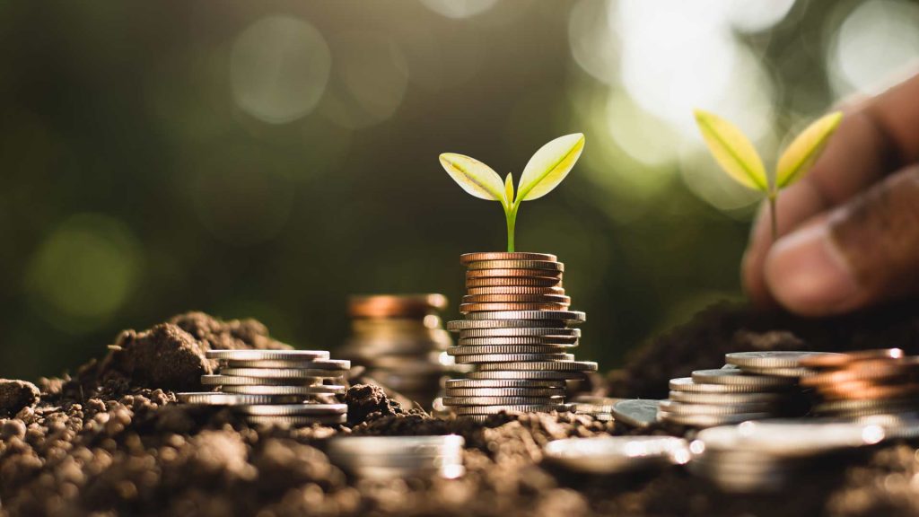 Adobestock 295049459 1 1024X576