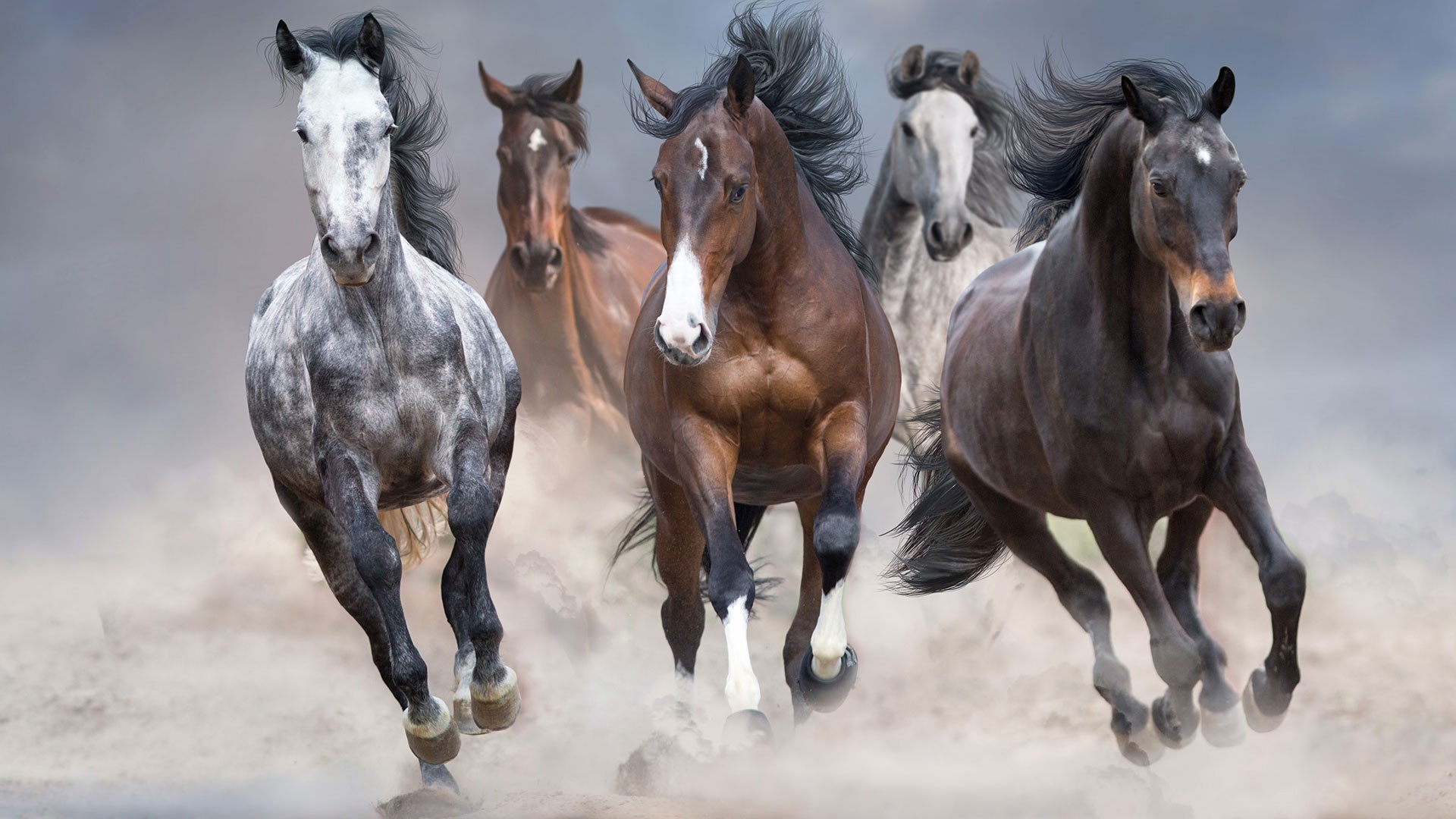 New Power Economy 1920X1080px