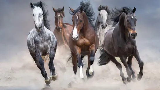 New Power Economy 1920X1080px New Power Economy 1920X1080px